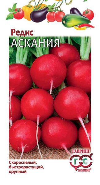 Редис АСКАНИЯ Гавриш