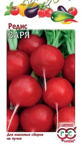 Редис ЗАРЯ Гавриш