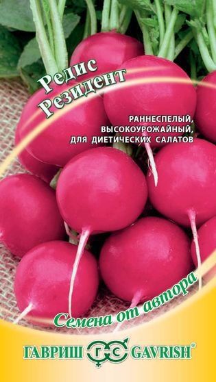 Редис РЕЗИДЕНТ Гавриш