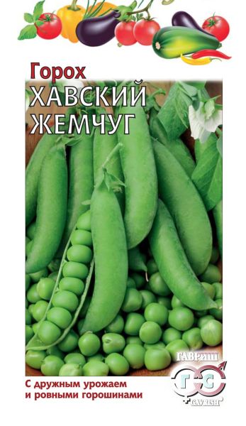 Горох ХАВСКИЙ ЖЕМЧУГ Гавриш