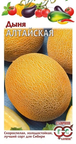 Дыня АЛТАЙСКАЯ Гавриш
