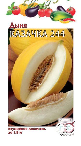 Дыня КАЗАЧКА 244 Гавриш