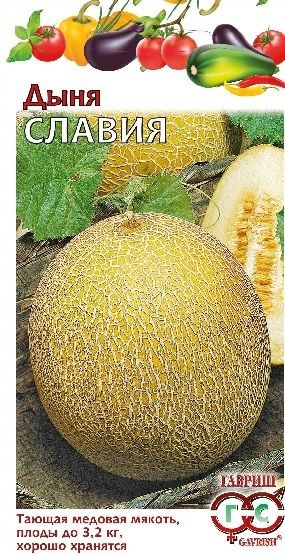 Дыня СЛАВИЯ Гавриш