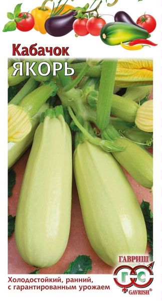 Кабачок ЯКОРЬ Гавриш