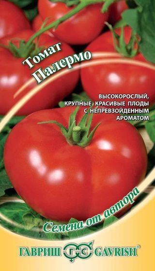 Томат ПАЛЕРМО Гавриш