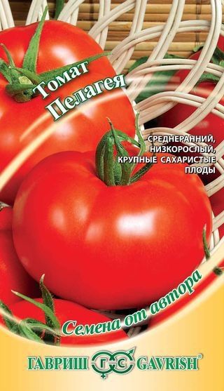 Томат ПЕЛАГЕЯ Гавриш