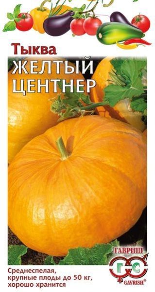 Тыква ЖЕЛТЫЙ ЦЕНТНЕР Гавриш