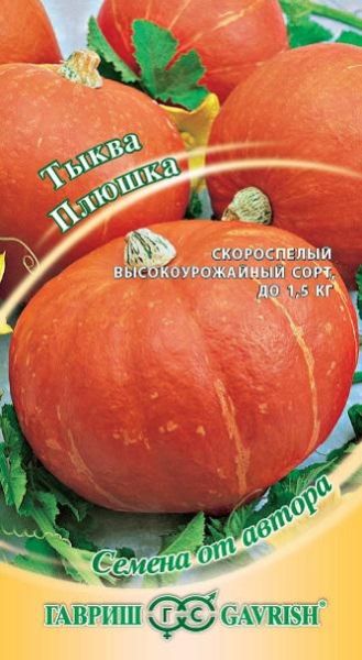 Тыква ПЛЮШКА Гавриш