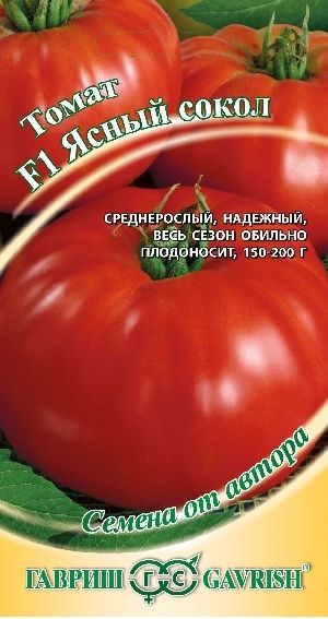 Томат ЯСНЫЙ СОКОЛ F1 Гавриш