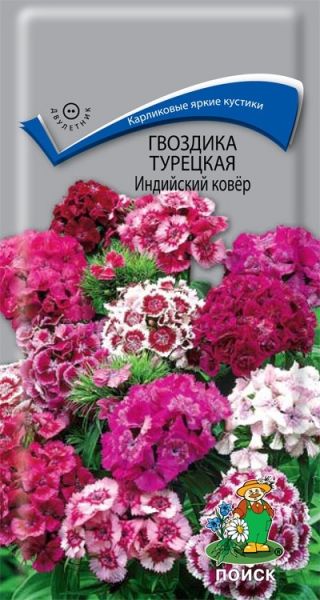 Двулетник Гвоздика Турецкая Индийский ковёр ЦВ Поиск