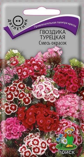 Двулетник Гвоздика турецкая Смесь окрасок ЦВ Поиск