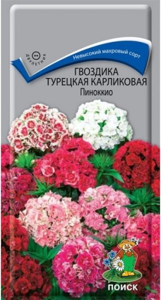 Двулетник Гвоздика Турецкая карликовая Пиноккио ЦВ Поиск