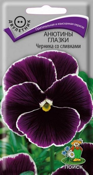 Двулетник Анютины глазки Черника со сливками ЦВ Поиск