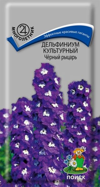 Многолетник Дельфиниум культурный Черный рыцарь ЦВ Поиск