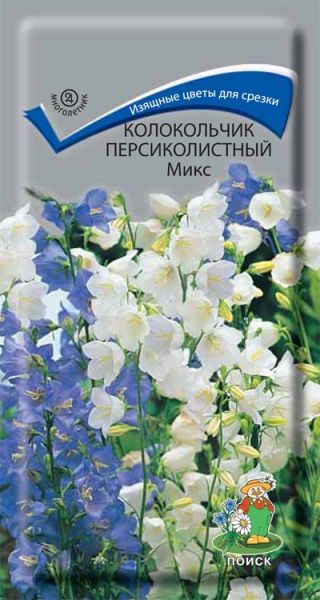 Многолетник Колокольчик персиколистный Микс ЦВ Поиск