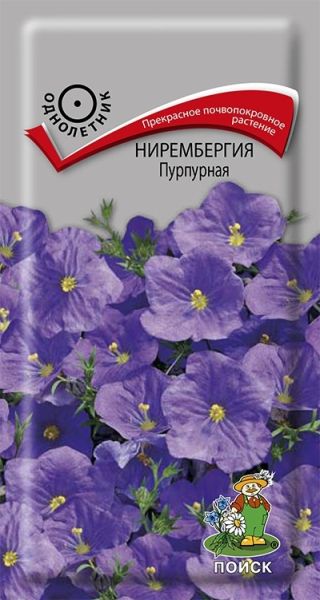 Однолетник Нирембергия Пурпурная ЦВ Поиск