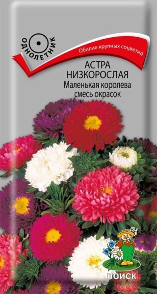 Однолетник Астра низкорослая Маленькая королева Смесь окрасок ЦВ Поиск