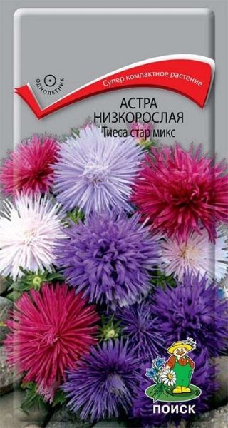 Однолетник Астра низкорослая Тиеса стар микс ЦВ Поиск