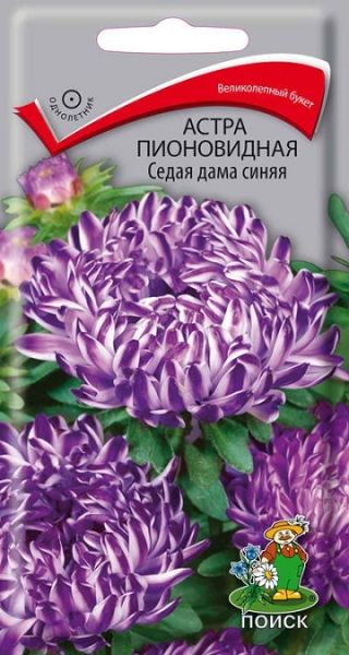 Однолетник Астра пионовидная Седая Дама синяя ЦВ Поиск
