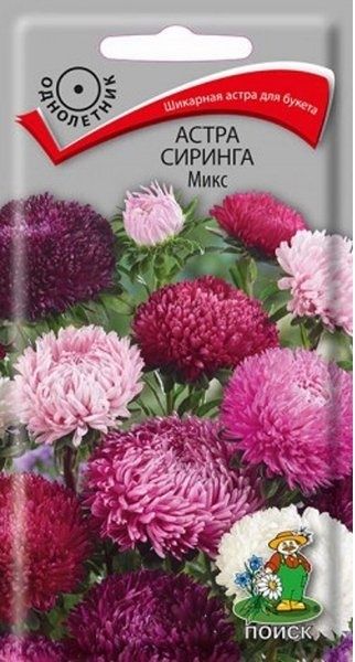 Однолетник Астра Сиринга Микс ЦВ Поиск
