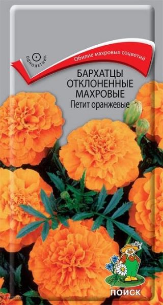 Однолетник Бархатцы откл. махр. Петит оранжевые ЦВ Поиск