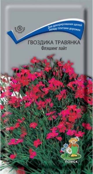 Однолетник Гвоздика травянка Флэшинг Лайт ЦВ Поиск