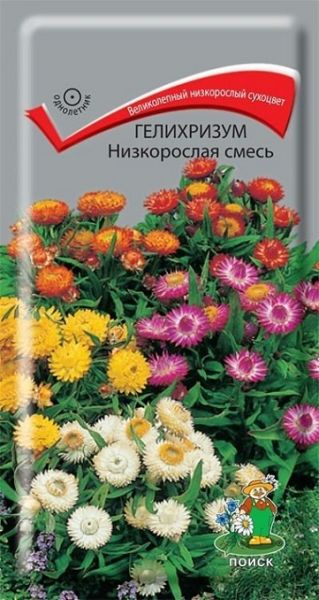 Однолетник Гелихризум Низкорослая смесь Поиск
