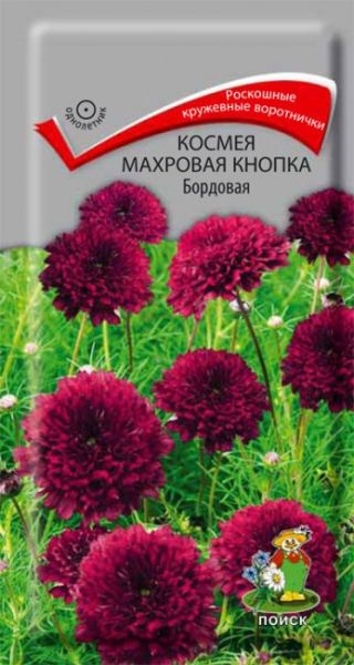 Однолетник Космея Махровая кнопка Бордовая ЦВ Поиск