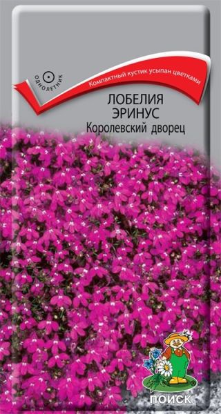 Однолетник Лобелия эринус Королевский дворец ЦВ Поиск