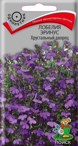Однолетник Лобелия эринус Хрустальный дворец ЦВ Поиск