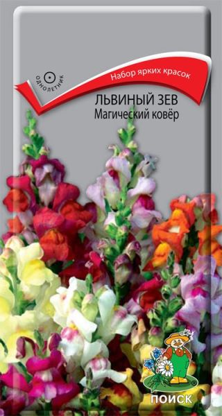 Однолетник Львиный зев Магический ковер ЦВ Поиск