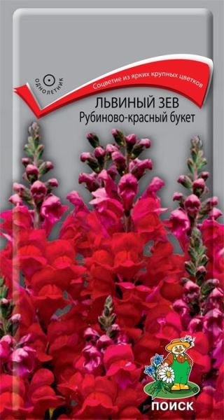 Однолетник Львиный зев Рубиново-красный букет ЦВ Поиск