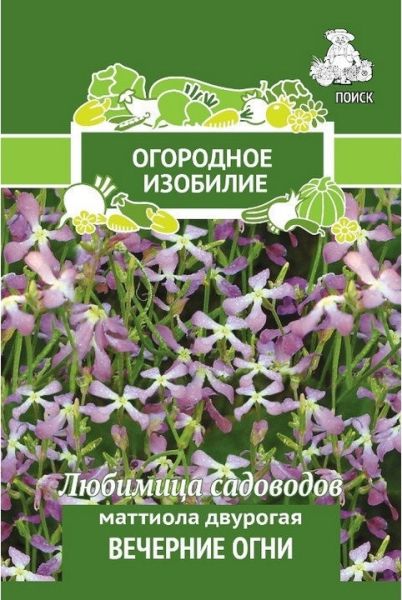 Однолетник Маттиола двурогая Вечерние огни ОИ Поиск