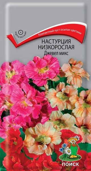 Однолетник Настурция низкорослая Джевел Микс ЦВ Поиск