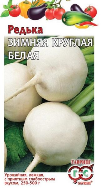 Редька ЗИМНЯЯ круглая белая Гавриш
