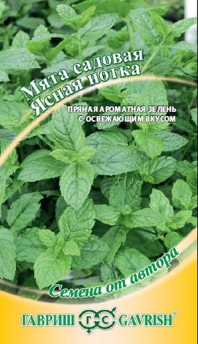 Мята ЯСНАЯ НОТКА Гавриш