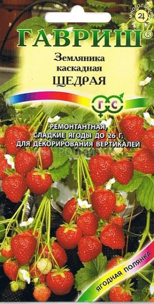 Земляника ампельная ЩЕДРАЯ проб. Гавриш