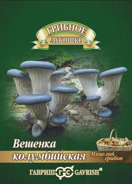 Грибы ВЕШЕНКА КОЛУМБИЙСКАЯ на древесн.палочке  больш.пак. Гавриш