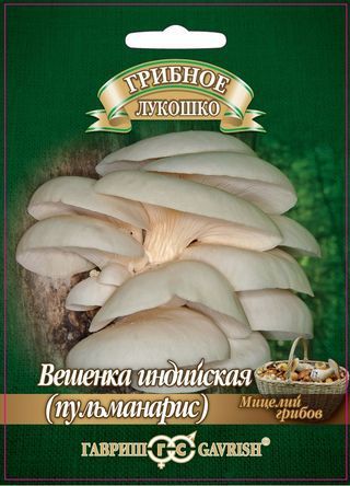 Грибы ВЕШЕНКА ИНДИЙСКАЯ ПУЛЬМОНАРИС на древесн.палочке  больш.пак. Гавриш