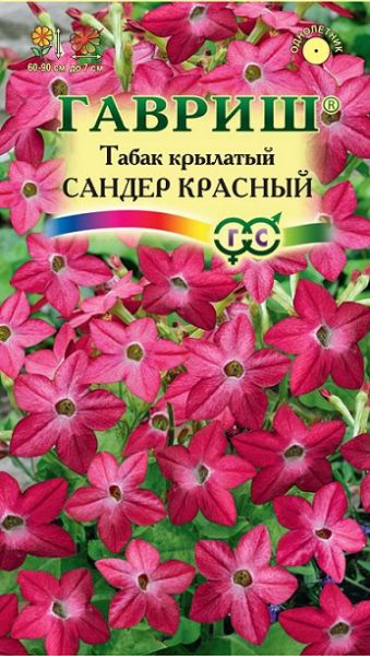 Однолетник Табак Сандер Красный крылатый Гавриш