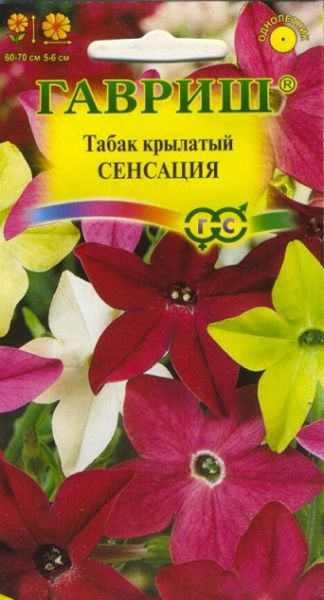 Однолетник Табак Сенсация крылатый смесь Гавриш