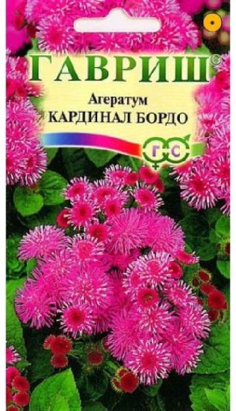 Однолетник Агератум Кардинал бордо Сад ароматов Гавриш