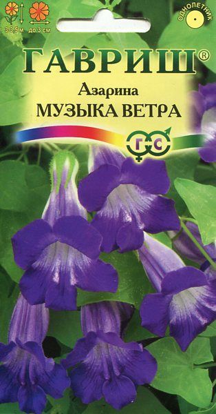 Однолетник Азарина Музыка ветра Сад ароматов Гавриш