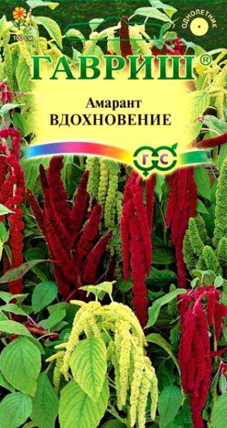 Однолетник Амарант Вдохновение Устойчив к заморозкам Гавриш