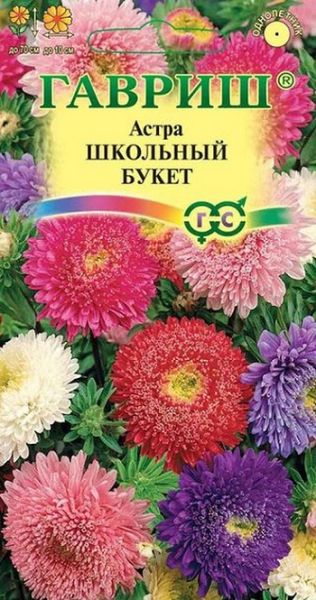 Однолетник Астра Букет школьный Гавриш