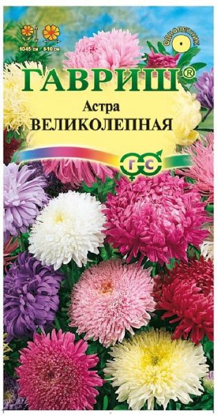 Однолетник Астра Великолепная смесь Гавриш