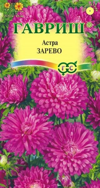 Однолетник Астра Зарево Гавриш