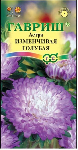 Однолетник Астра Изменчивая голубая Гавриш