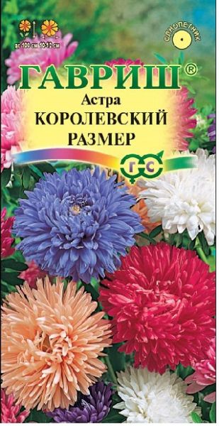 Однолетник Астра Королевский размер Гавриш
