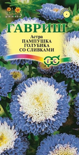 Однолетник Астра Пампушка голубика со сливками Гавриш
